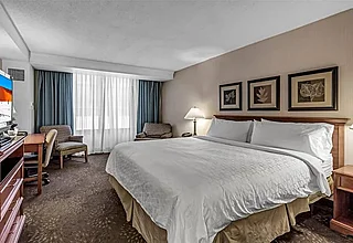 Buffalo Airport Hotel King Room